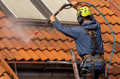 Démoussage et hydrofuge de toiture à Marthod